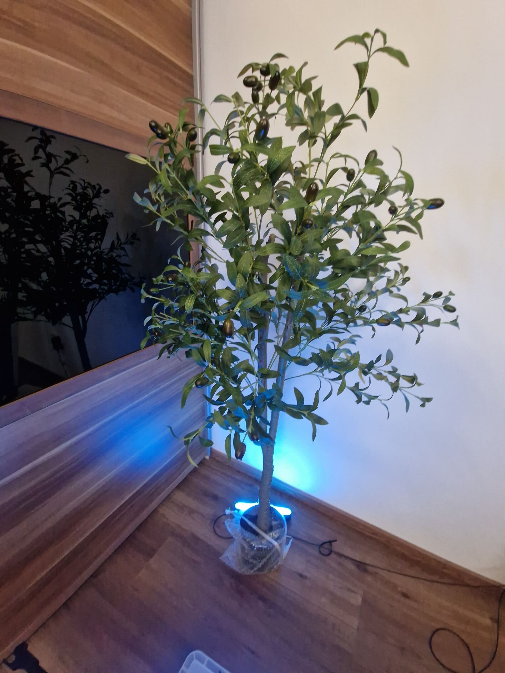 Hintergrundlicht in Aktion: farbiges Licht auf der Wand hinter dem Schreibtisch